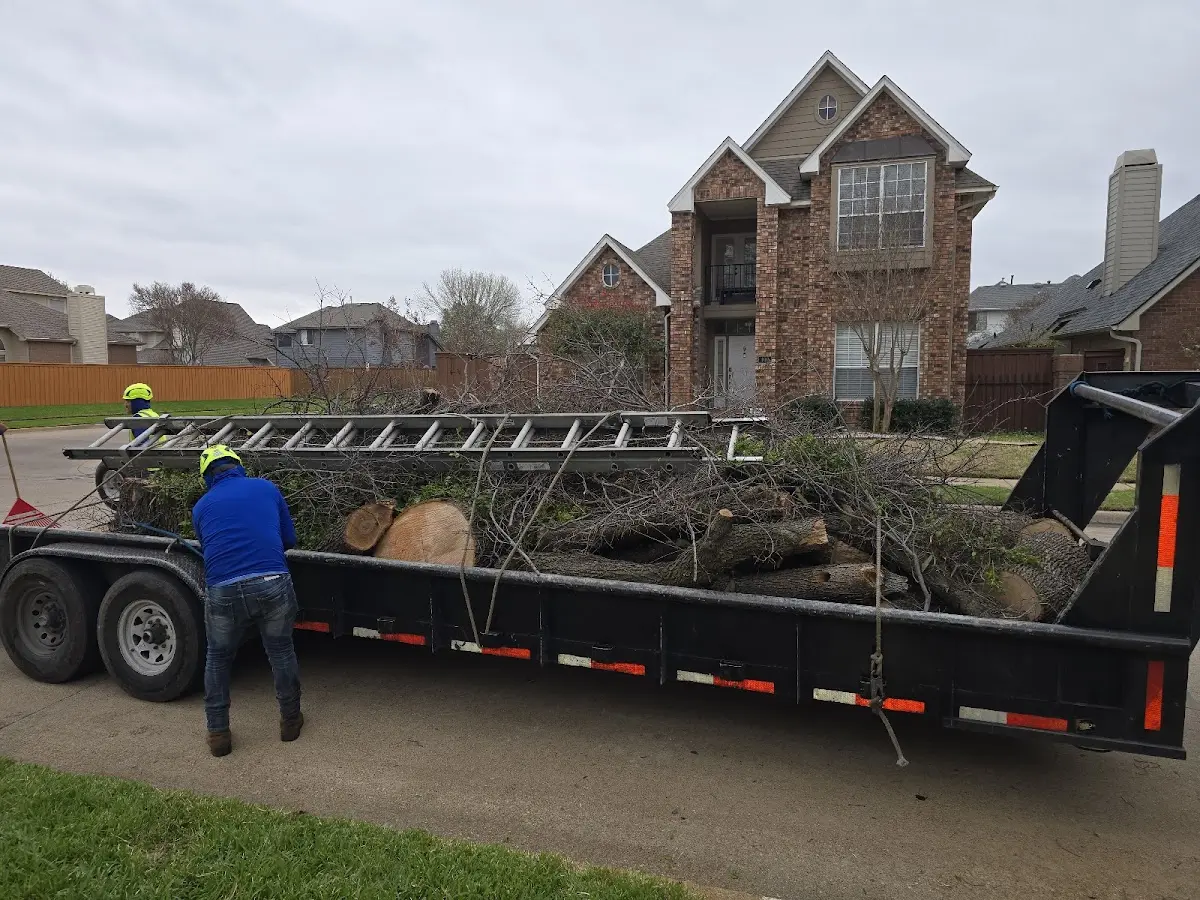 Expert Tree Fertilization with proper safety equipment in Aaronsburg